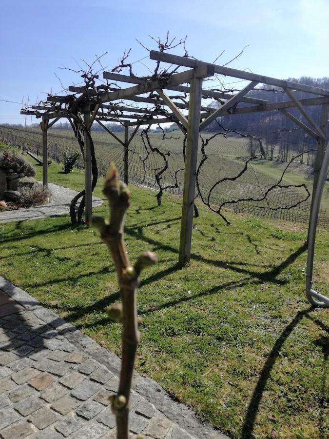 Das Weinberghaus Ratsch an der Weinstraße Exterior photo