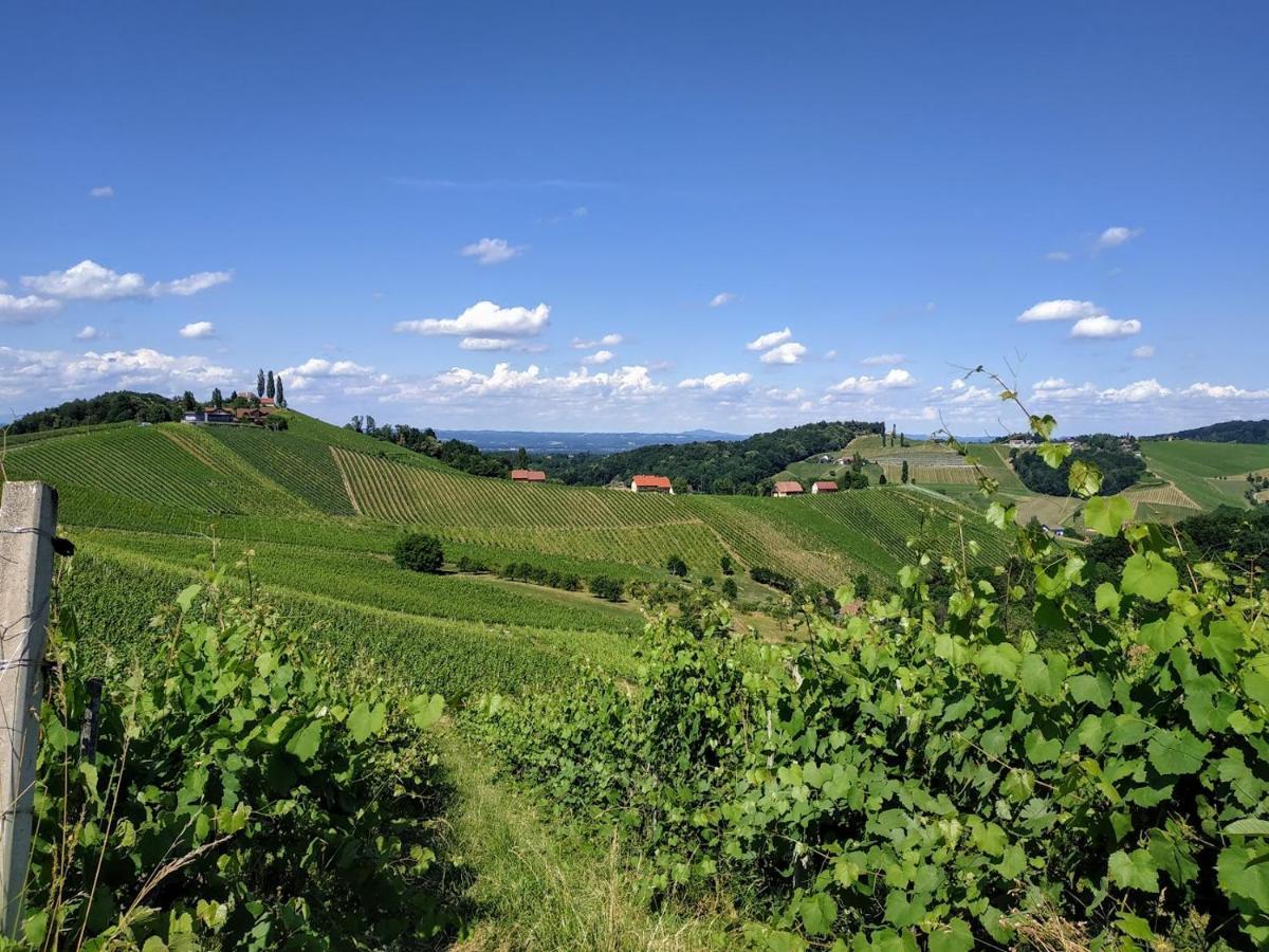 Das Weinberghaus Ratsch an der Weinstraße Exterior photo