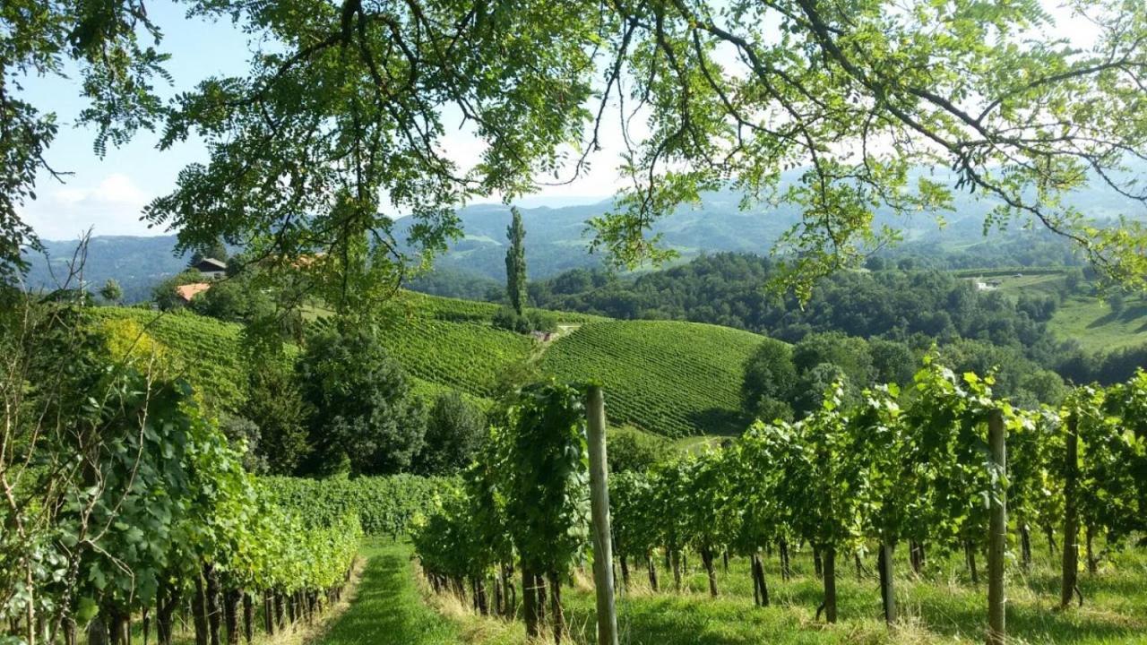Das Weinberghaus Ratsch an der Weinstraße Exterior photo