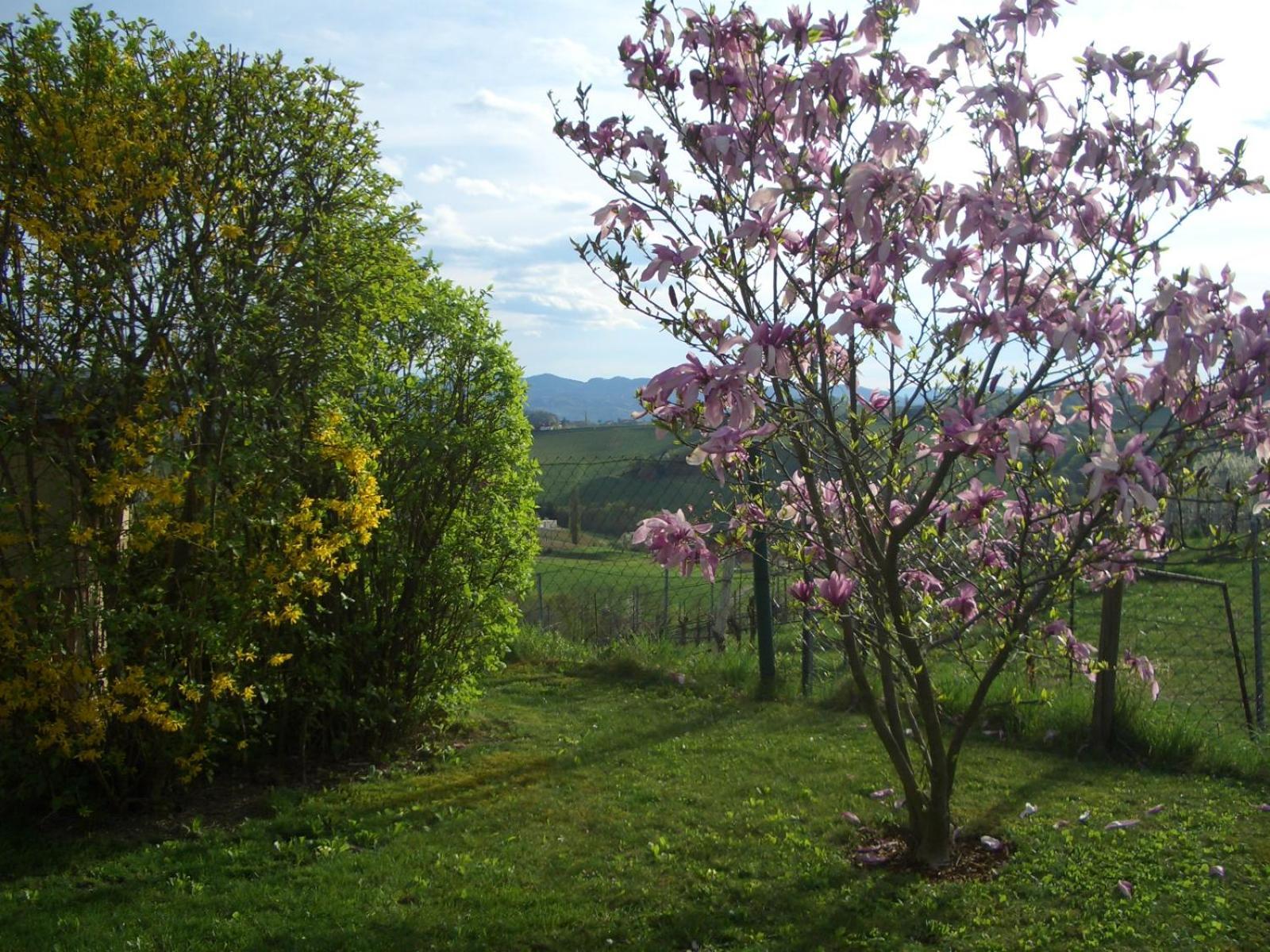 Das Weinberghaus Ratsch an der Weinstraße Exterior photo