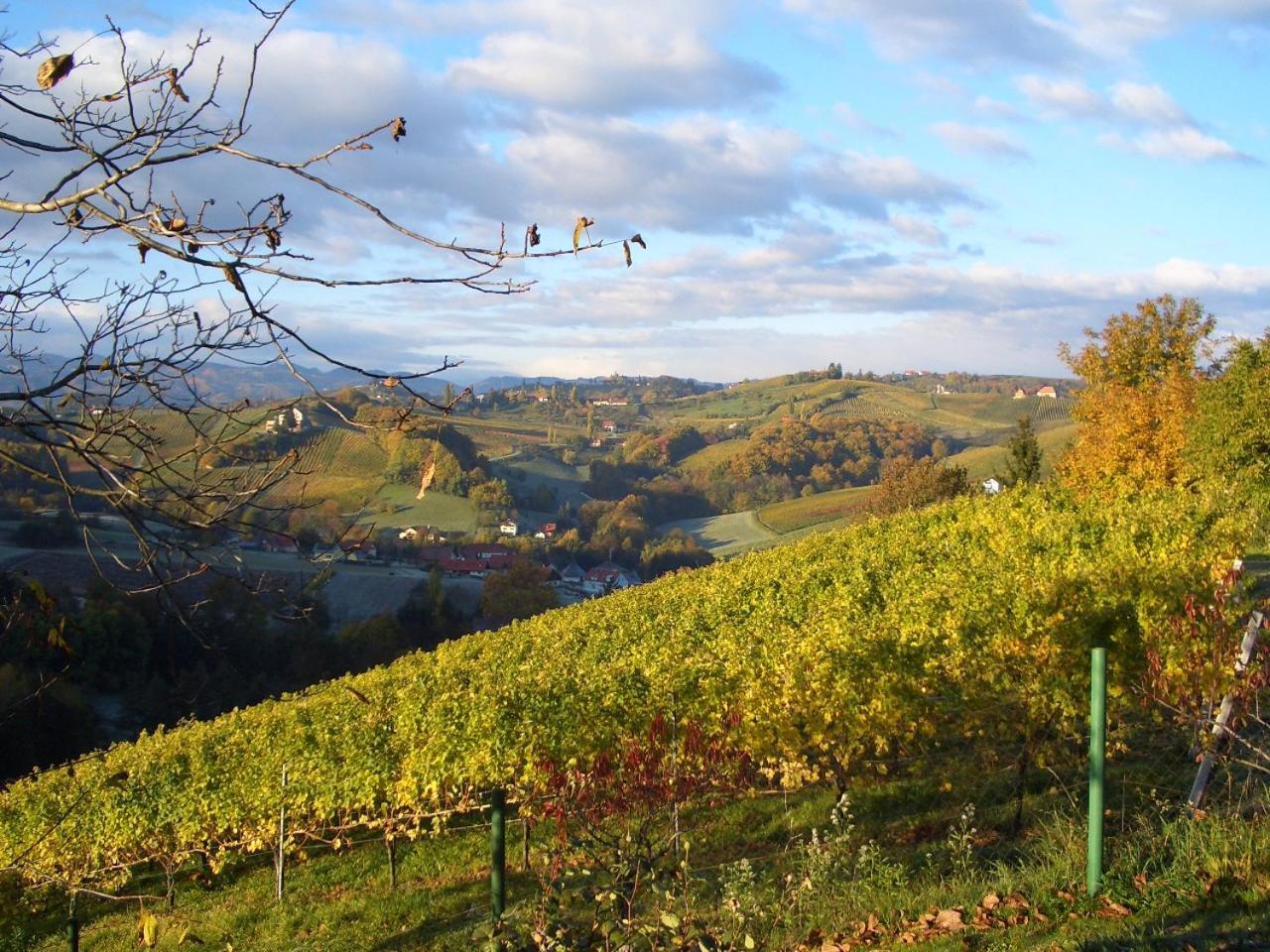 Das Weinberghaus Ratsch an der Weinstraße Exterior photo
