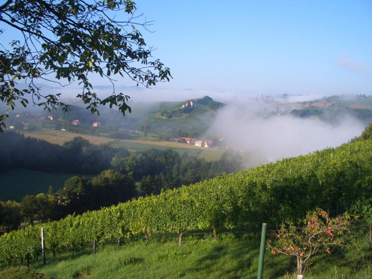 Das Weinberghaus Ratsch an der Weinstraße Exterior photo